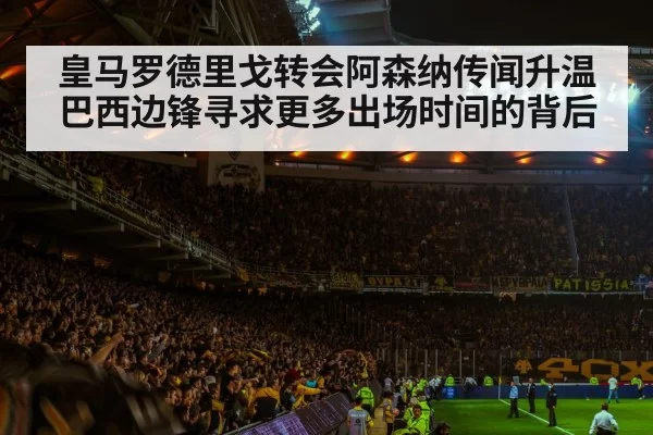 football stadium night crowd