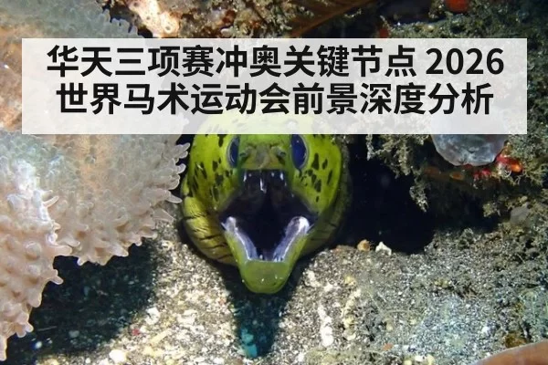华天三项赛冲奥关键节点 2026世界马术运动会前景深度分析